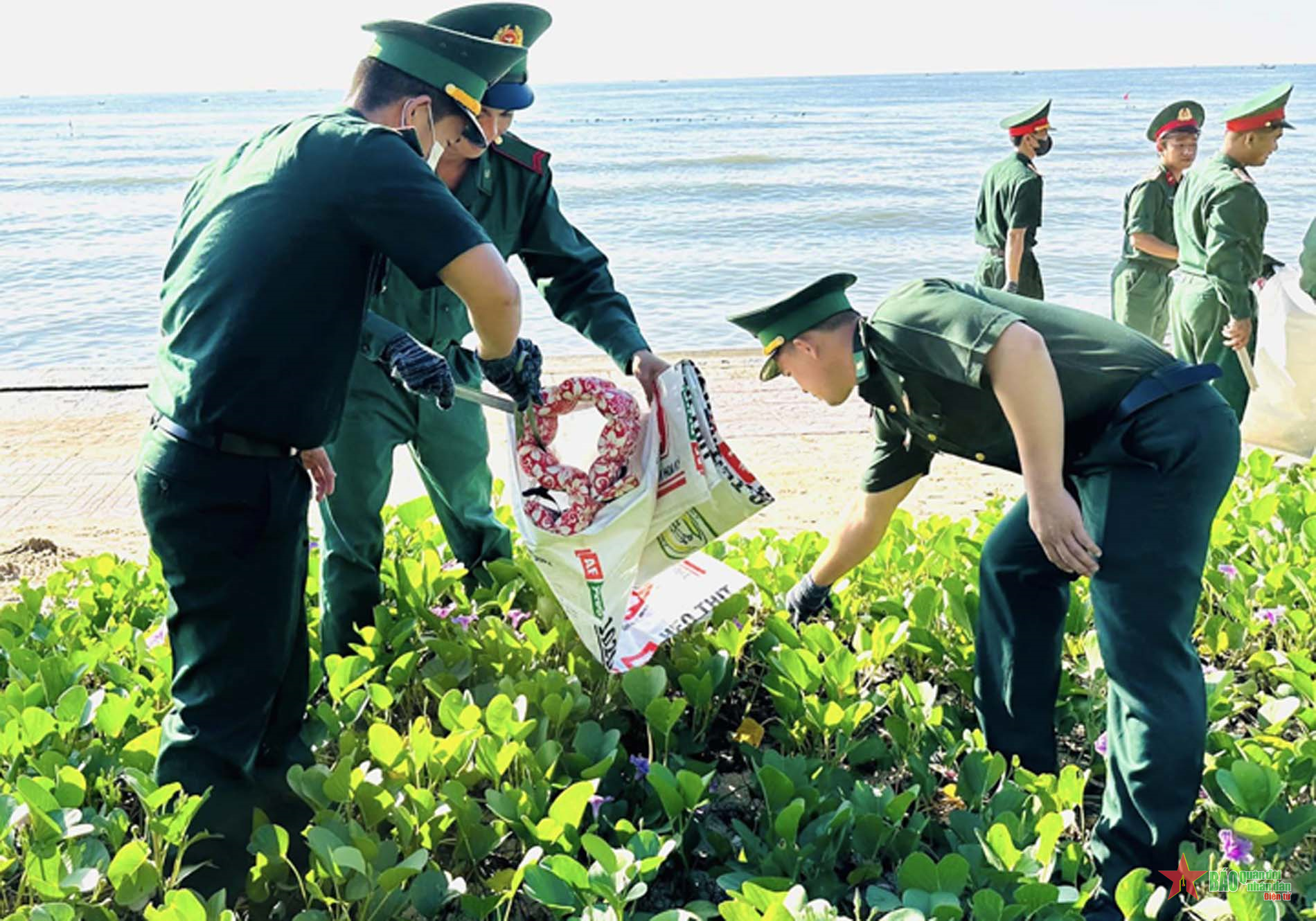 Tỉnh đoàn Bình Thuận phát động đợt tổng vệ sinh môi trường năm 2023