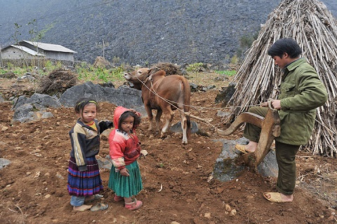 ​Hỏi-Đáp pháp luật: Đầu tư phát triển kinh tế - xã hội các dân tộc còn gặp nhiều khó khăn, dân tộc có khó khăn đặc thù