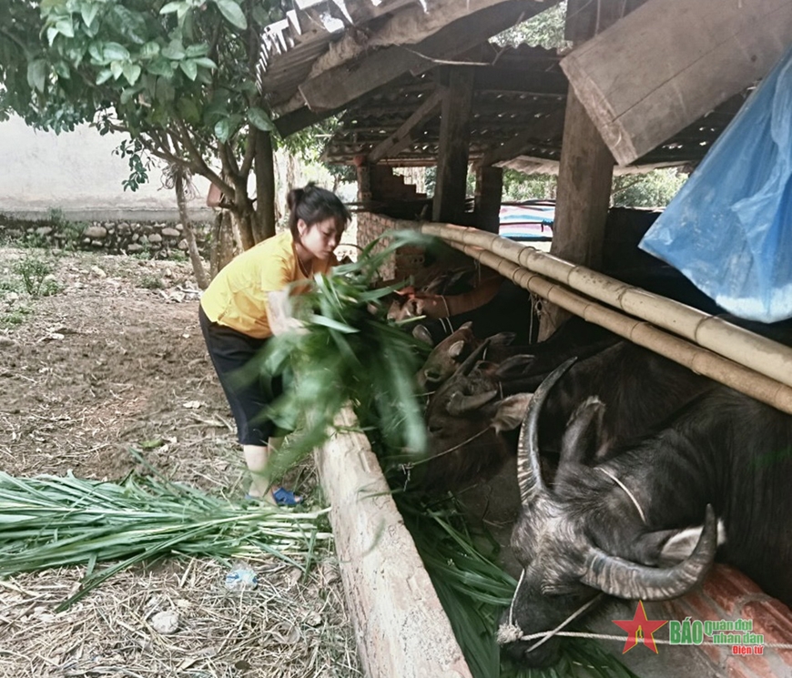 Lai Châu: Tạo sức bật cho vùng dân tộc thiểu số