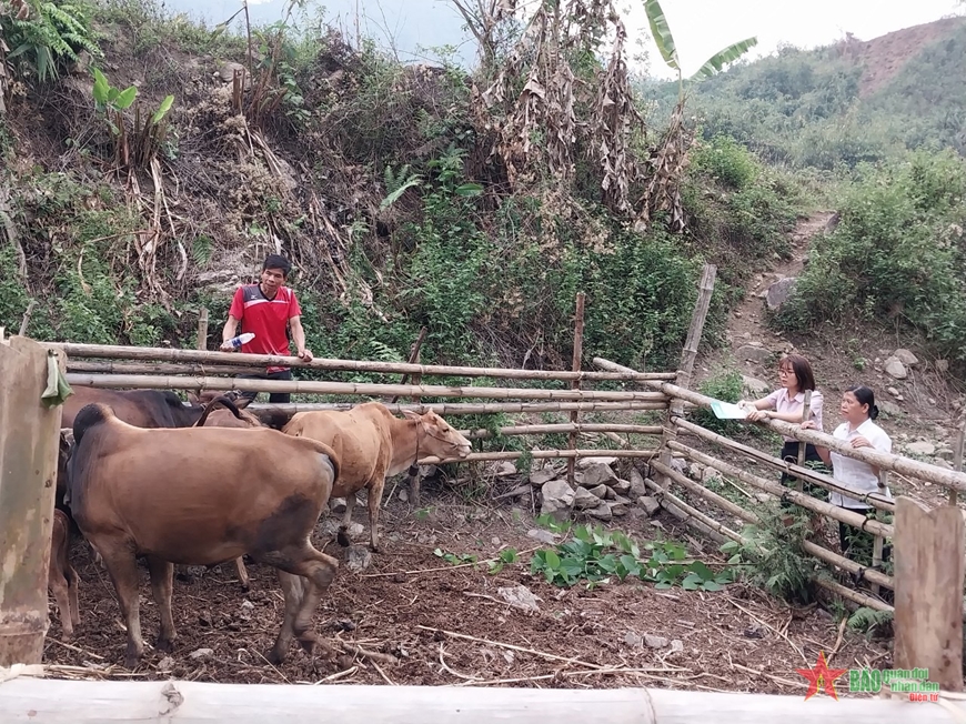 Lai Châu: Tạo sức bật cho vùng dân tộc thiểu số