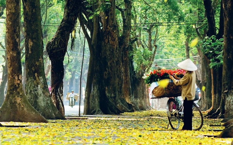 Thời tiết hôm nay (27-10): Miền Bắc, miền Trung ngày nắng đẹp