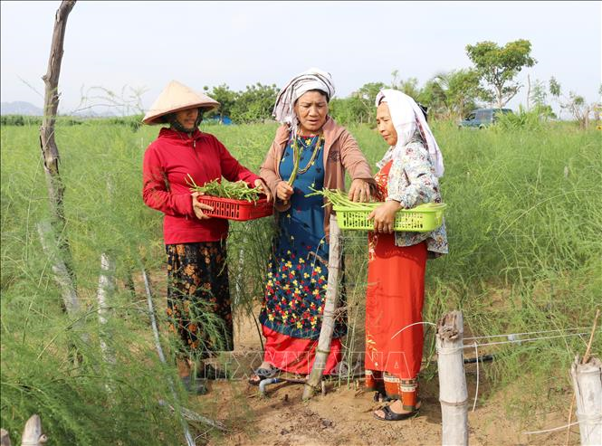 Hỏi-Đáp pháp luật: Mục tiêu, đối tượng biểu dương tôn vinh điển hình tiên tiến