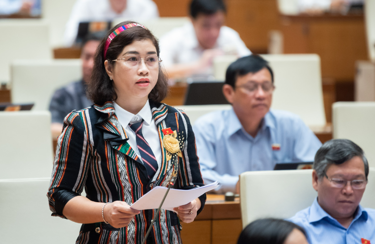 Đại biểu Quốc hội 