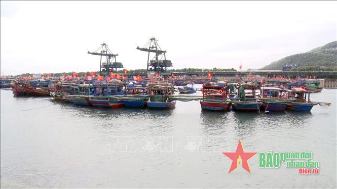 Dự án Cảng container Long Sơn sẽ đưa Thanh Hóa trở thành trung tâm logistics