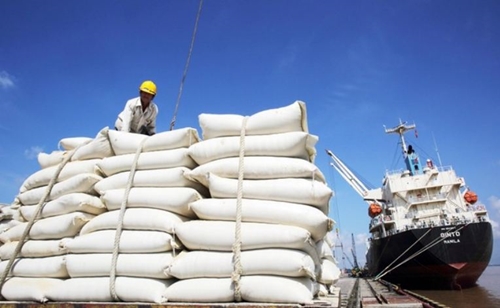 Xuất khẩu gạo dự báo sẽ lập đỉnh 4,5 tỷ USD, cao nhất từ trước tới nay