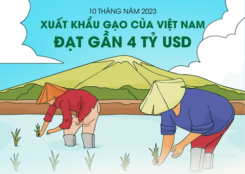 Xuất khẩu gạo của Việt Nam thiết lập kỷ lục mới