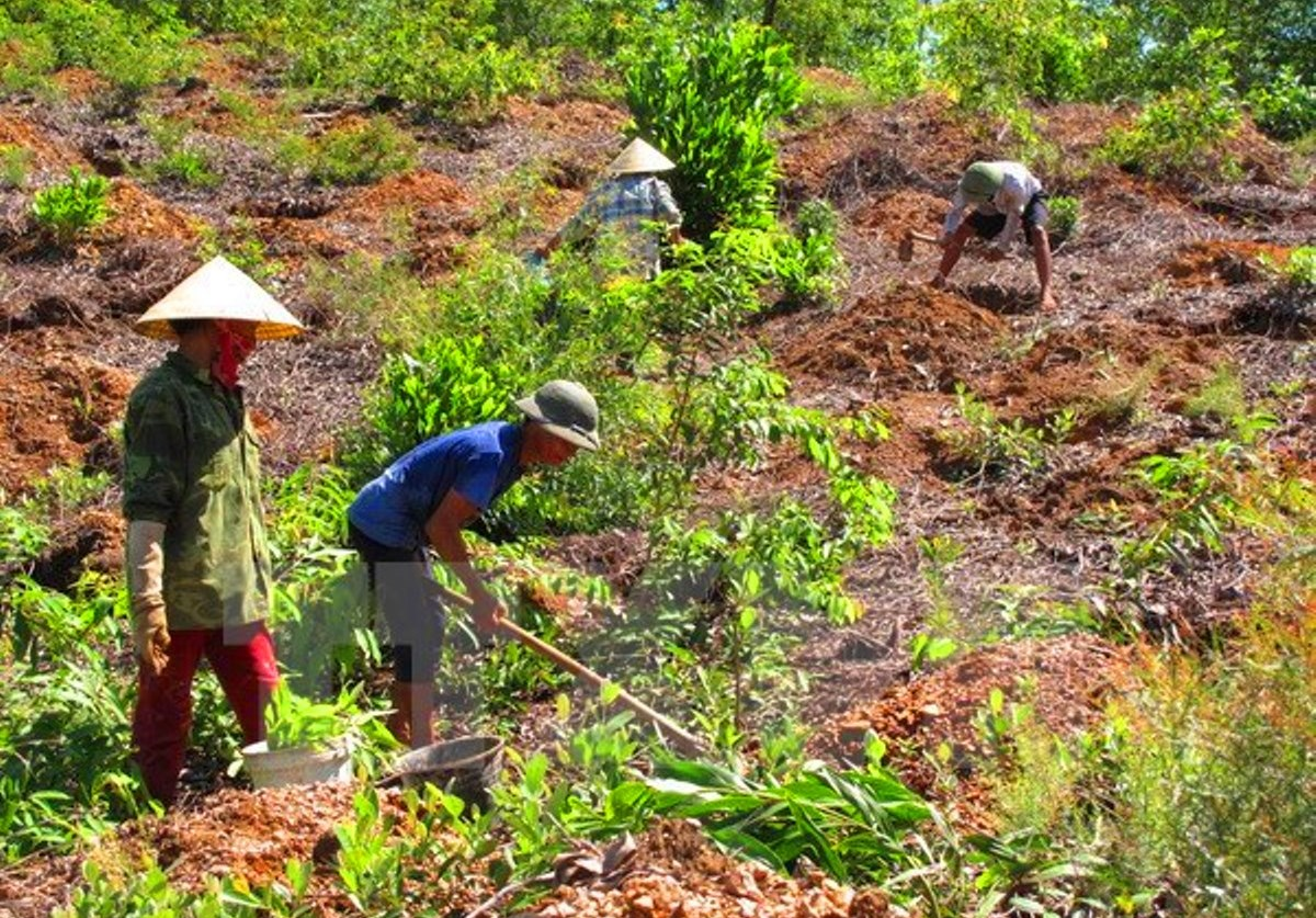 Hỏi-đáp pháp luật: Đối tượng được hỗ trợ đất sản xuất