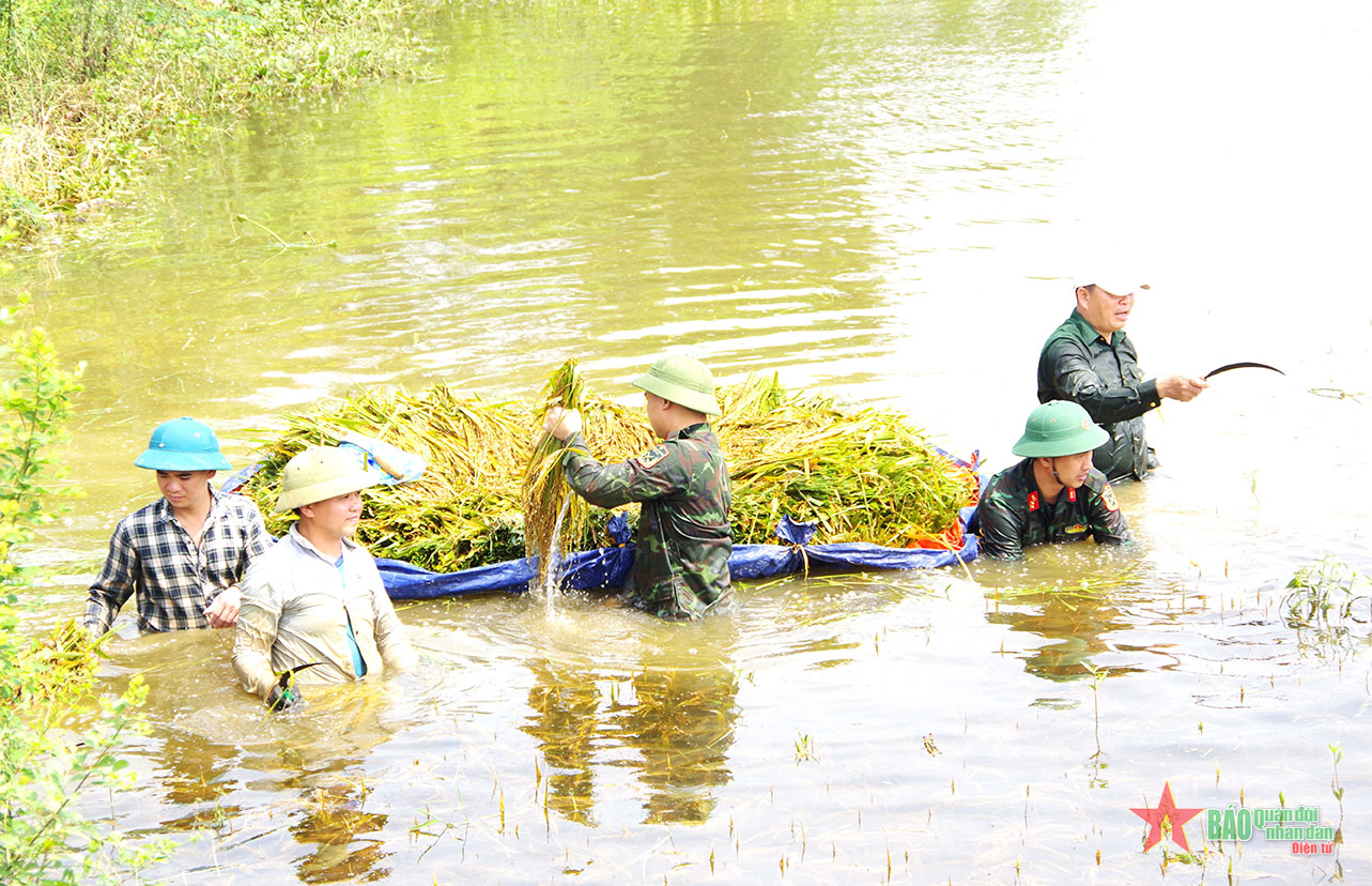 Đơn vị và địa phương gần gũi, thân tình