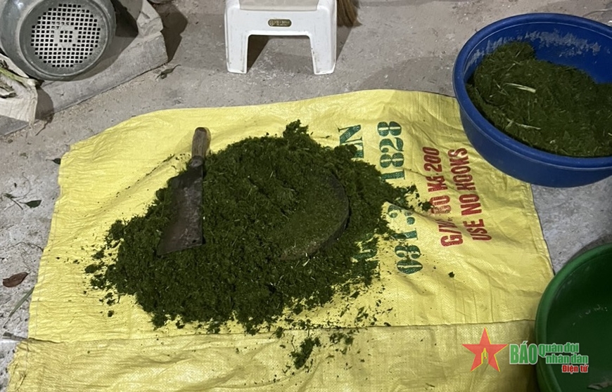 Sự thật về gạo "Séng cù xanh" trên thị trường