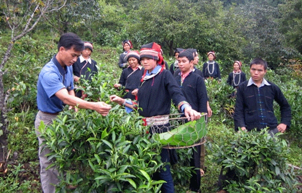 Hỏi-Đáp pháp luật: Trách nhiệm của các đơn vị được giao nhiệm vụ thực hiện một số nội dung thuộc dự án 1 và tiểu dự án 1, dự án 4