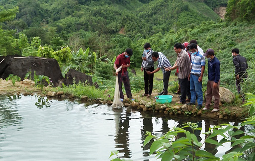 Hỏi-Đáp pháp luật: Xây dựng danh mục dự án sử dụng nguồn vốn hỗ trợ phát triển sản xuất thực hiện chương trình mục tiêu quốc gia phát triển kinh tế - xã hội vùng đồng bào dân tộc thiểu số và miền núi