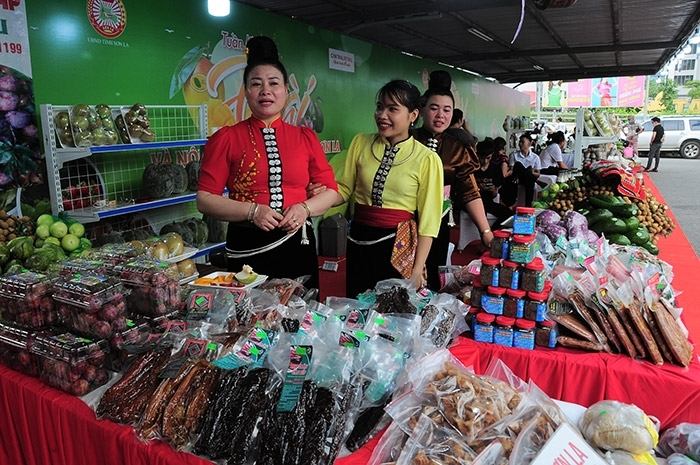 Hỏi-đáp pháp luật: Hỗ trợ xây dựng mô hình khởi nghiệp, khởi sự kinh doanh