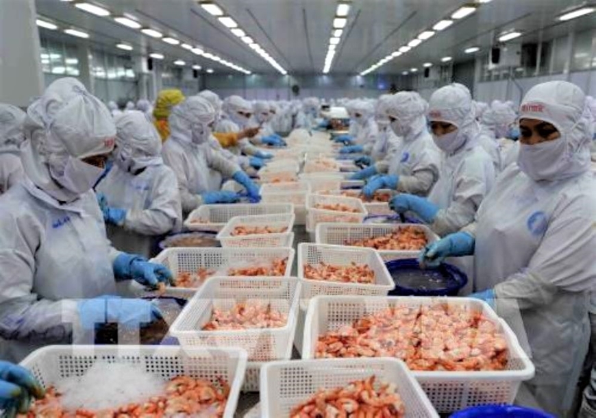 Tôm đứng đầu giá trị xuất khẩu các mặt hàng thủy sản Việt Nam