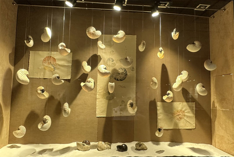 Bảo tàng Hà Nội trưng bày các chuyên đề mang dấu ấn lịch sử