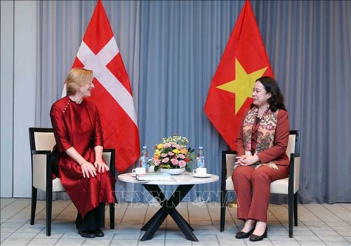 Phó chủ tịch nước Võ Thị Ánh Xuân tiếp Hội hữu nghị Đan Mạch – Việt Nam