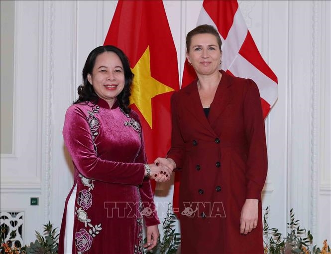 Phó chủ tịch nước Võ Thị Ánh Xuân hội đàm với Thủ tướng Đan Mạch Mette Frederiksen
