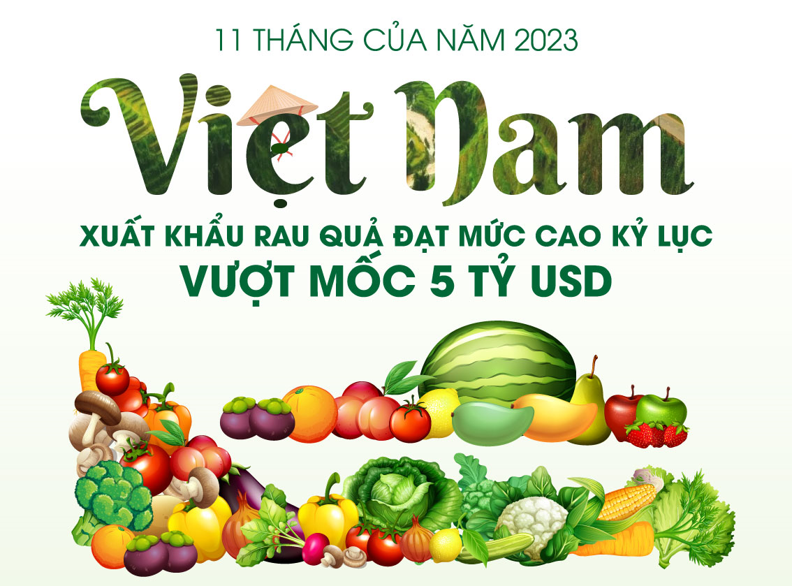 Xuất khẩu rau quả đạt mức cao kỷ lục vượt mốc 5 tỷ USD trong 11 tháng của năm 2023