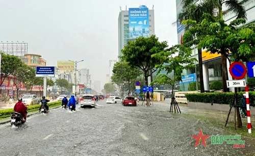 Đà Nẵng: Quyết liệt các giải pháp chống ngập lụt 