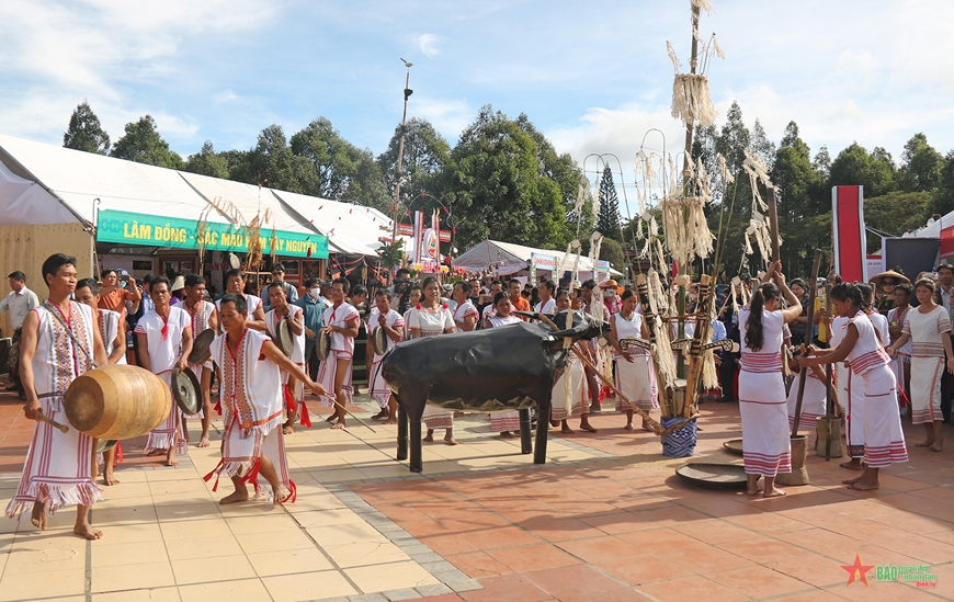 Đại ngàn Tây Nguyên - Tinh hoa hội tụ