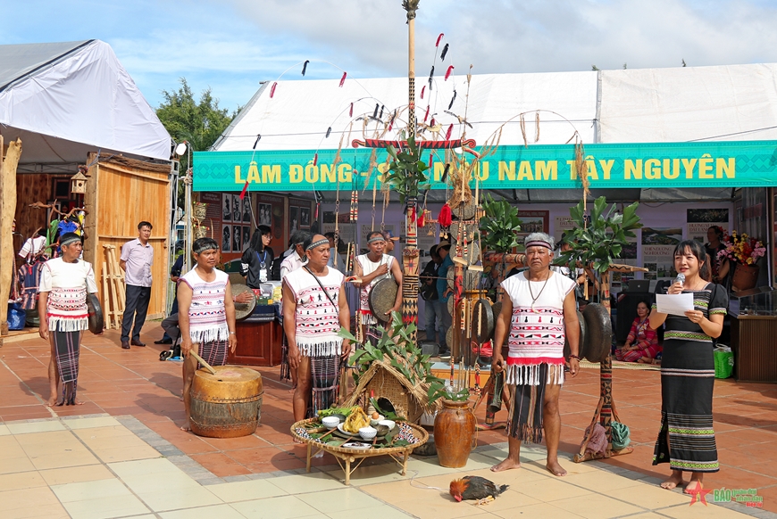 Đại ngàn Tây Nguyên - Tinh hoa hội tụ