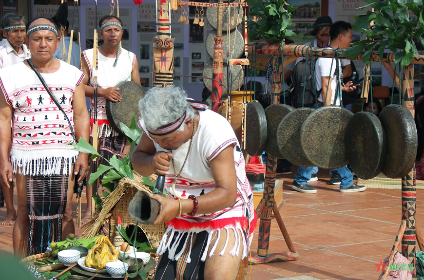 Đại ngàn Tây Nguyên - Tinh hoa hội tụ