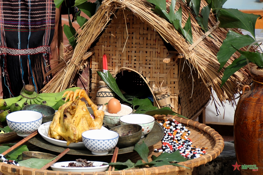 Đại ngàn Tây Nguyên - Tinh hoa hội tụ