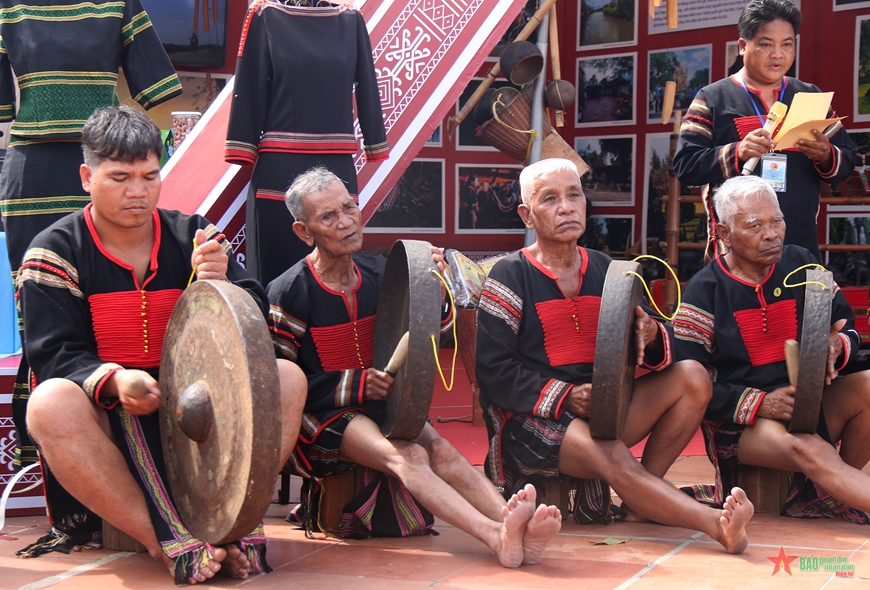 Đại ngàn Tây Nguyên - Tinh hoa hội tụ