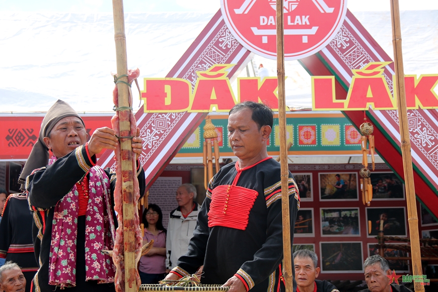 Đại ngàn Tây Nguyên - Tinh hoa hội tụ