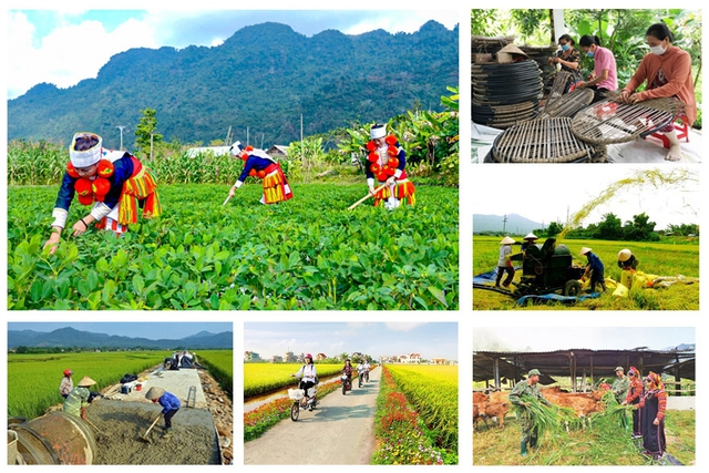 Hỏi-đáp pháp luật: Phân công bồi dưỡng kiến thức dân tộc đáp ứng nhu cầu nhân lực cho vùng đồng bào dân tộc thiểu số