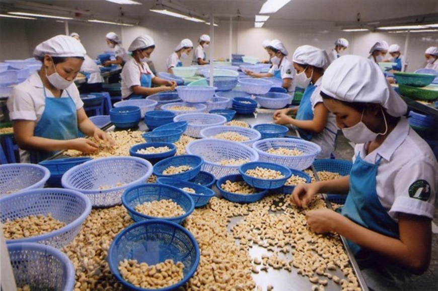 Xuất khẩu hạt điều của Việt Nam thu hơn 3,3 tỷ USD