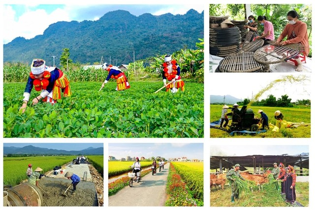 Hỏi-đáp pháp luật: Tổ chức triển khai thực hiện việc đầu tư phát triển kinh tế - xã hội các dân tộc còn gặp nhiều khó khăn, dân tộc có khó khăn đặc thù