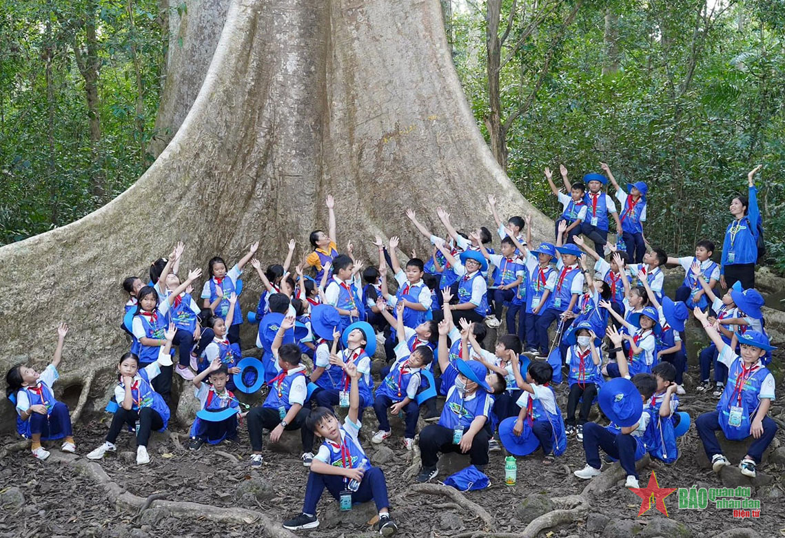 Lớp học trong rừng