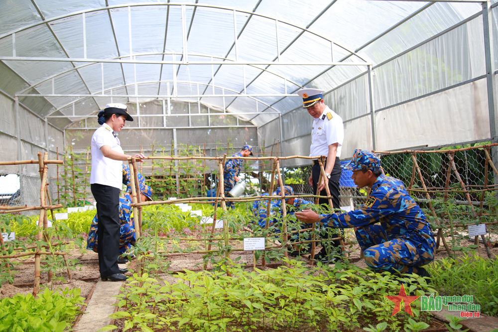 Cải tạo cát san hô, phát triển hệ sinh thái ở Trường Sa