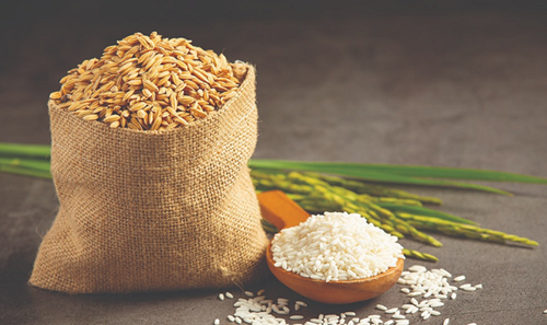 Giá lúa gạo hôm nay ngày 29-12: Giá gạo ổn định, giá lúa tăng