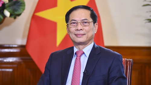 Bộ trưởng Bộ Ngoại giao Bùi Thanh Sơn: Phát huy mạnh mẽ bản sắc “ngoại giao cây tre Việt Nam”