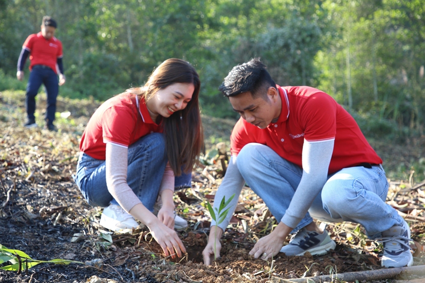 SeABank tích cực tham gia phủ xanh rừng phòng hộ