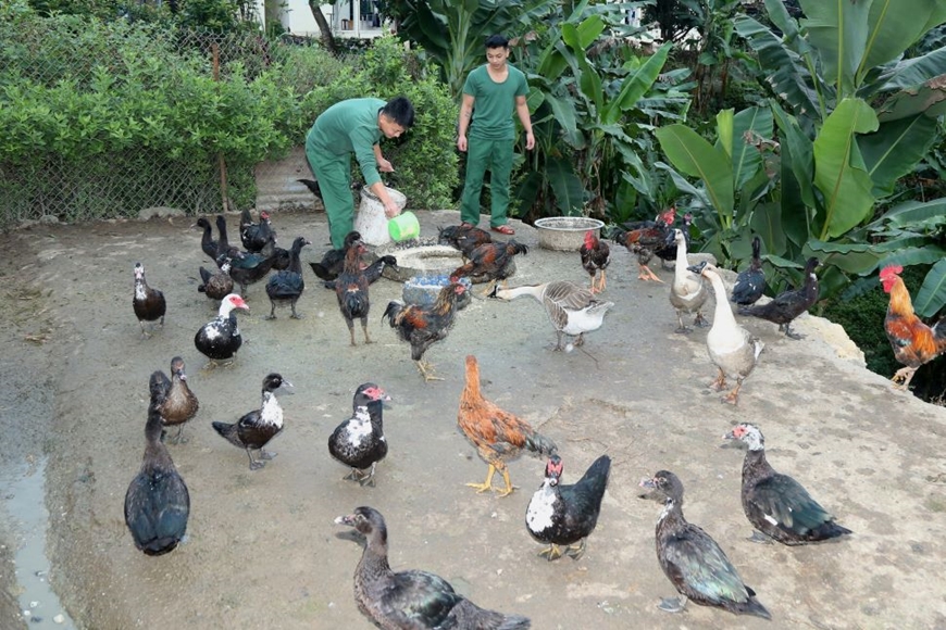 <a title="Báo Quân đội nhân dân | Tin tức quân đội, quốc phòng | Bảo vệ Tổ quốc" style="text-align:center;" href="https://www.qdnd.vn"><img src="https://file3.qdnd.vn/data/images/0/2021/08/11/linh/bannerv2.png" class="vllogo"></a>