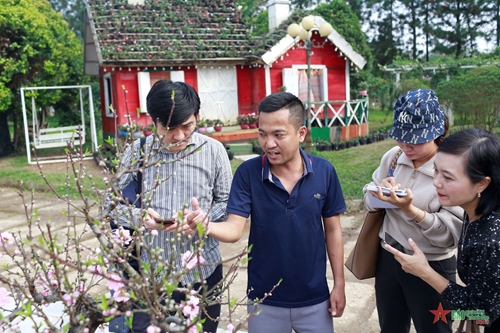 Hà Nội lần đầu tiên tổ chức Hội thi hoa đào, quất cảnh truyền thống và sản phẩm OCOP các vùng miền
