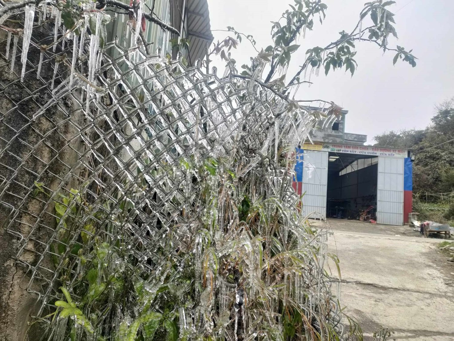 Hà Giang xuất hiện băng giá, người dân chủ động phương án tránh rét