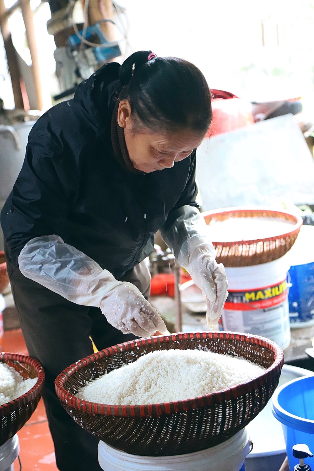 Gạo để dùng gói bánh là gạo nếp cái hoa vàng của Nam Định, Hải Dương, Thái Bình…