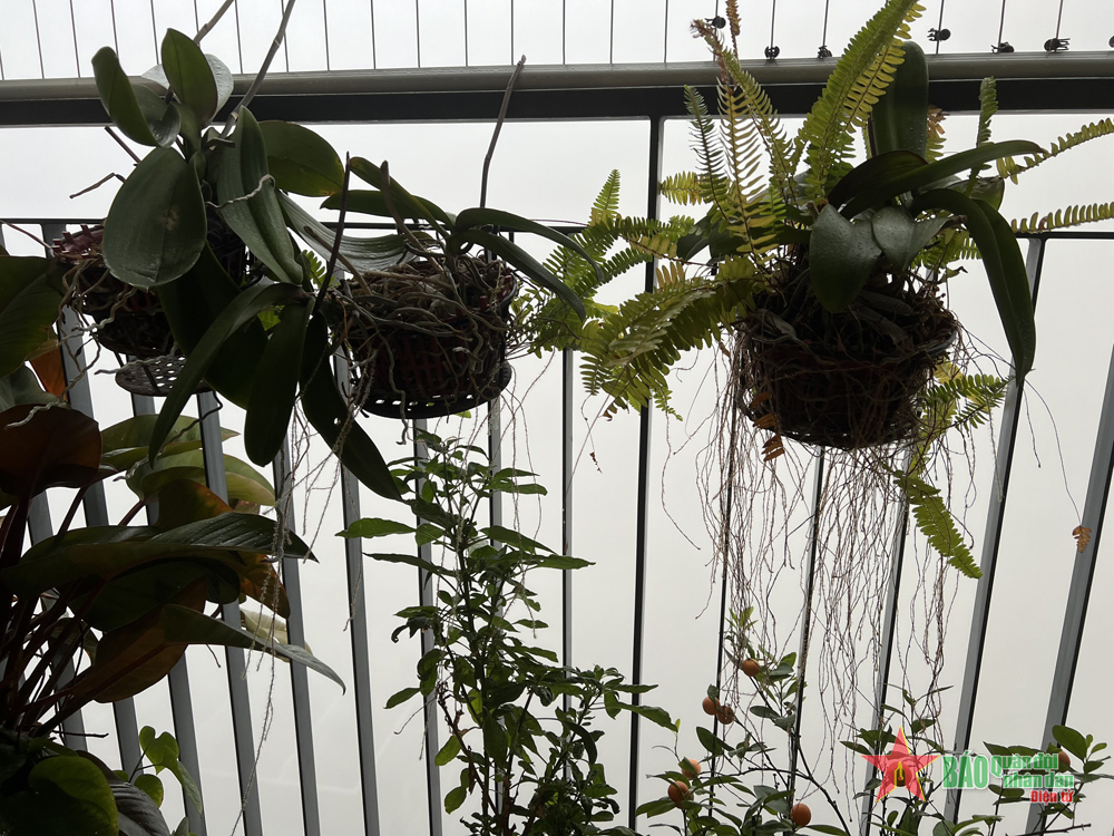 Sương mù tiếp tục bao phủ miền Bắc, người dân chú ý sức khỏe