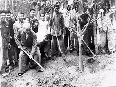 View - 	Nhớ Tết trồng cây và triết lý sống hòa hợp với thiên nhiên của Bác Hồ