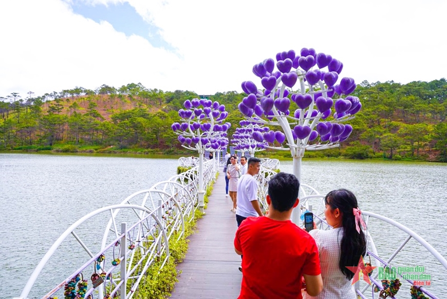 View - 	Bạn trẻ đổ lên Đà Lạt ngắm mai anh đào và đón Lễ tình nhân 14-2