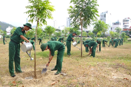 Trường Sĩ quan Thông tin: Hưởng ứng “Tết trồng cây đời đời nhớ ơn Bác Hồ”
