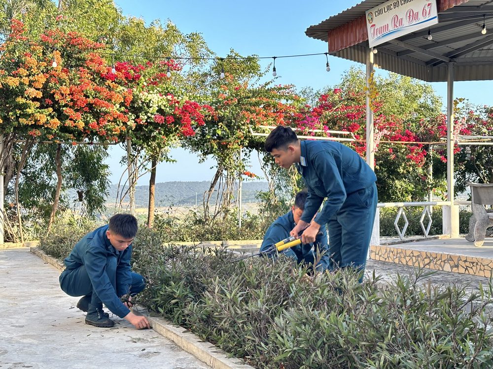 Ống kính bạn đọc: Trồng cây trên cát trắng