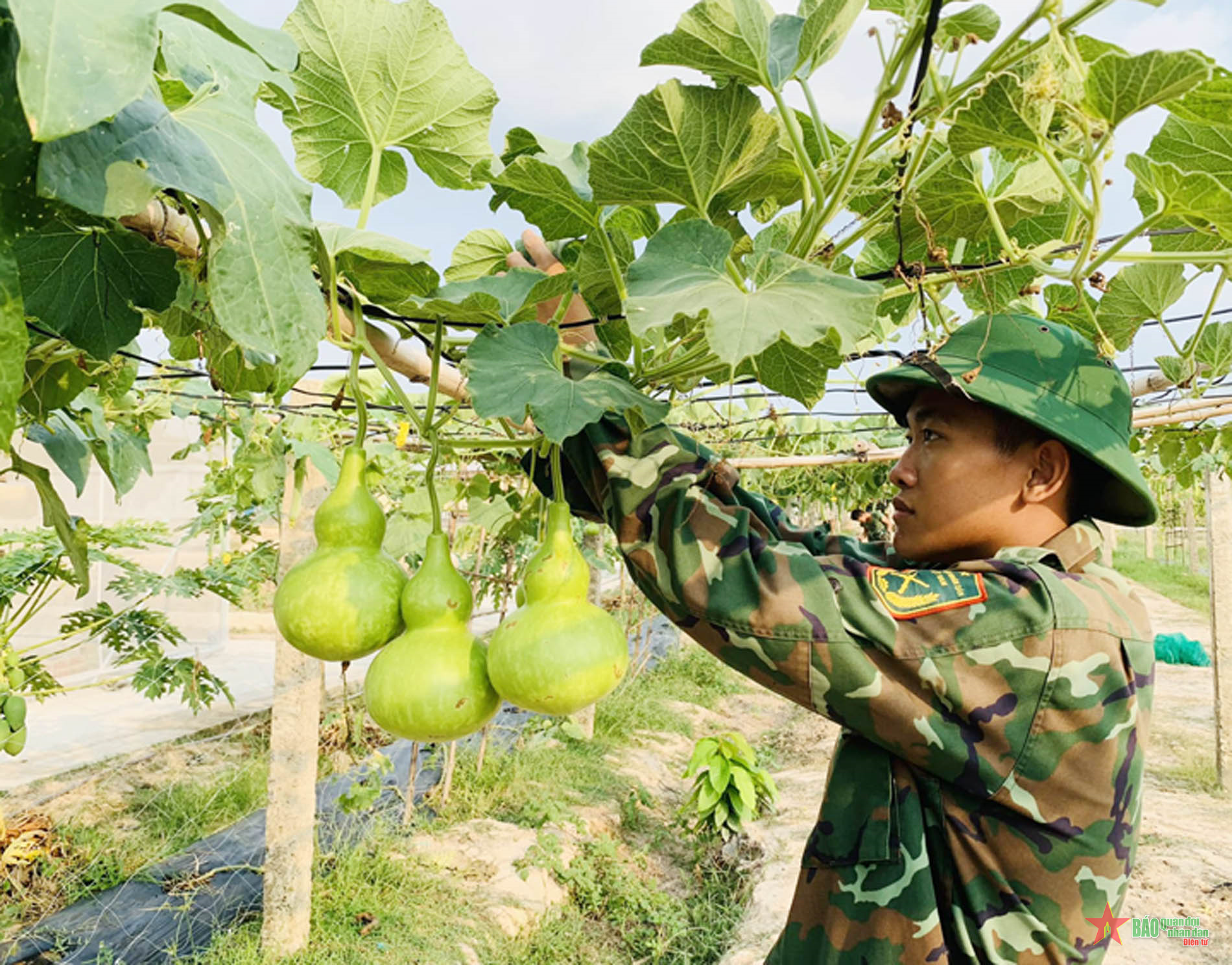 Trung đoàn Gia Định sẵn sàng tiếp nhận, huấn luyện chiến sĩ mới năm 2024
