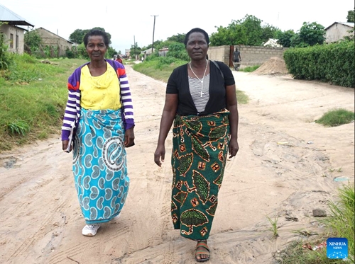 Tình nguyện viên góp sức ngăn chặn dịch tả ở Zambia