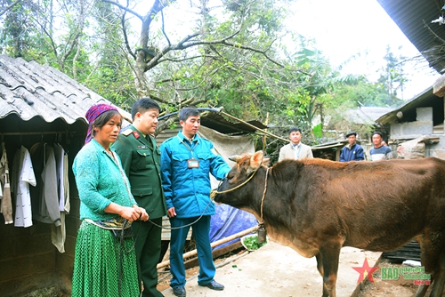 Huyện Mèo Vạc (Hà Giang): Trao bò giống tặng chiến sĩ hoàn thành nghĩa vụ quân sự