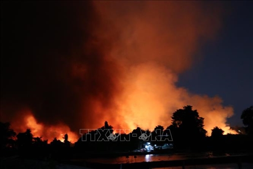 Bình Dương: Cháy rợp trời tại khu dân cư Suối Giữa bỏ hoang nhiều năm