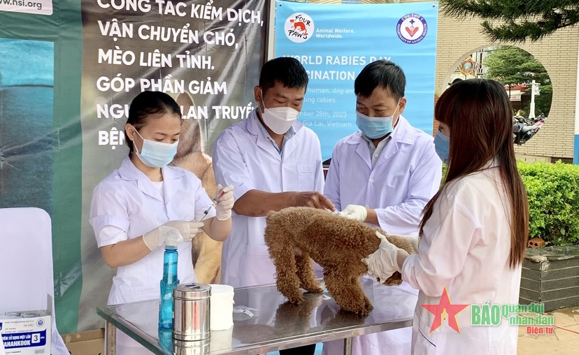 <a title="Báo Quân đội nhân dân | Tin tức quân đội, quốc phòng | Bảo vệ Tổ quốc" style="text-align:center;" href="https://www.qdnd.vn"><img src="https://file3.qdnd.vn/data/images/0/2021/08/11/linh/bannerv2.png" class="vllogo"></a>